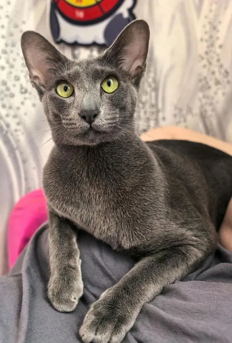 IMG_20260301_202304_817