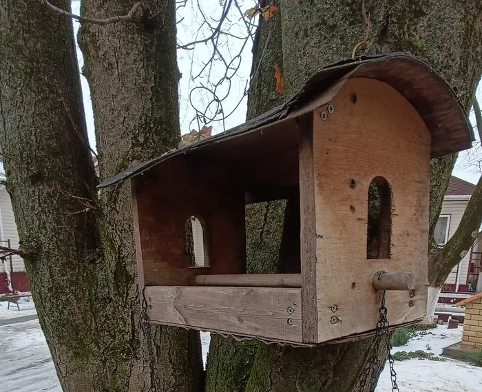 IMG_20260219_233241_1