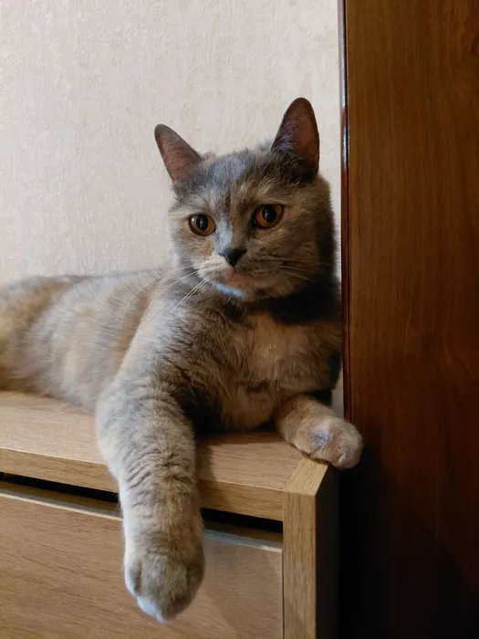 IMG_20260301_202305_140