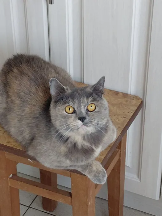 IMG_20260301_202305_062