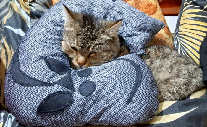 IMG_20260301_202304_915