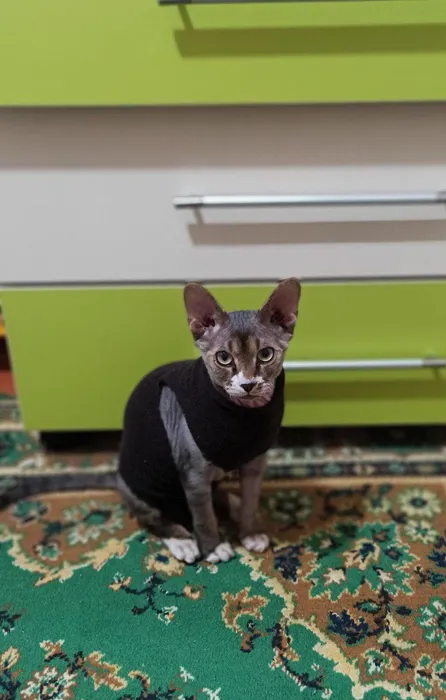 IMG_20260301_202305_251