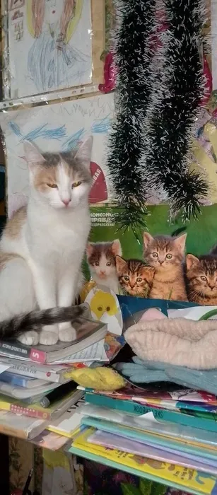 IMG_20260301_222203_819