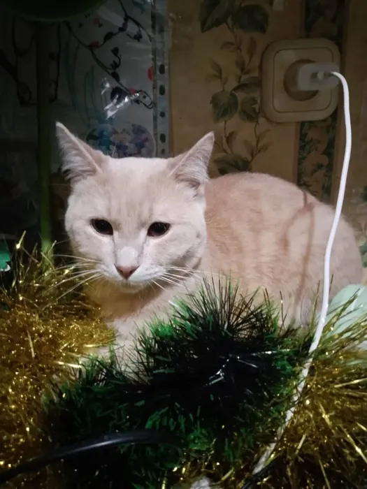 IMG_20260301_222159_394