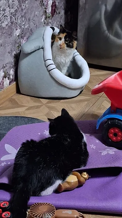 IMG_20260301_202304_845