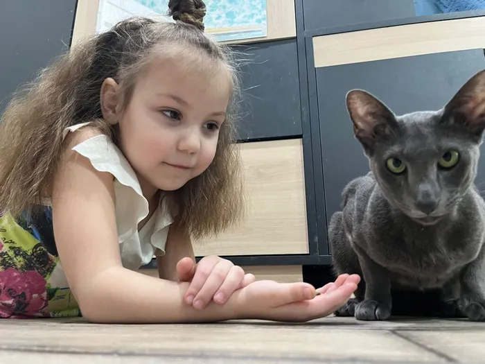 IMG_20260301_202304_640