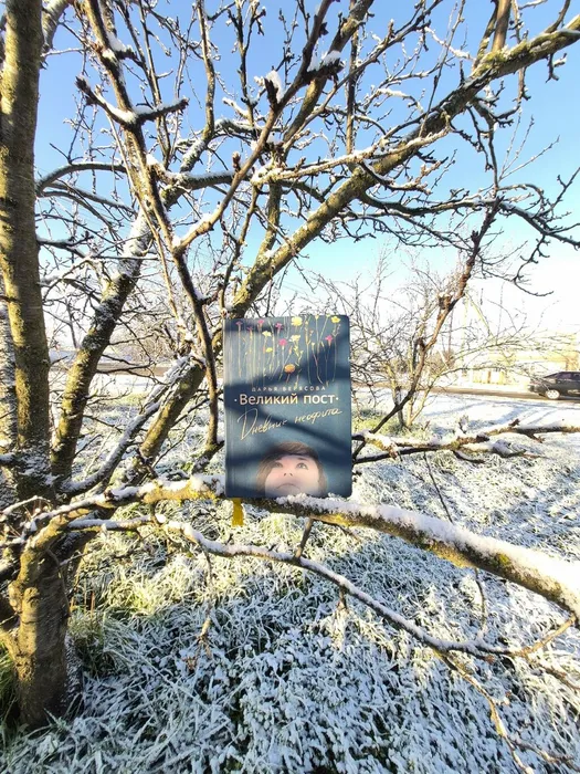 Алиева Альбина