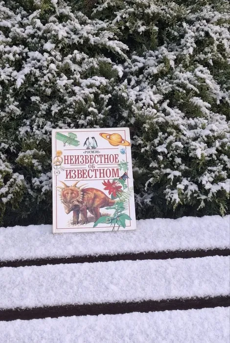 Ахметшин Кирилл