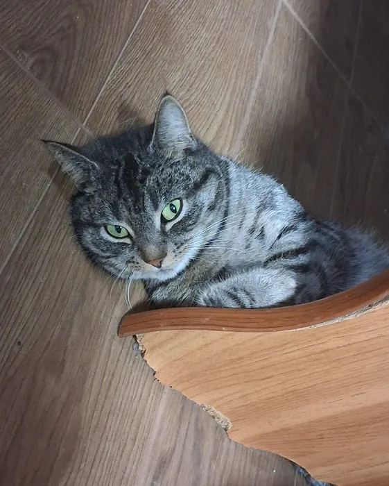 IMG_20260301_202305_020