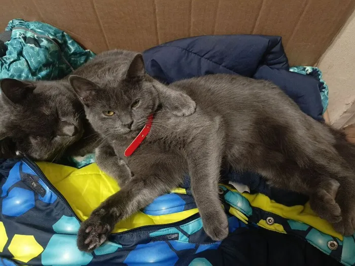 IMG_20260301_202304_808