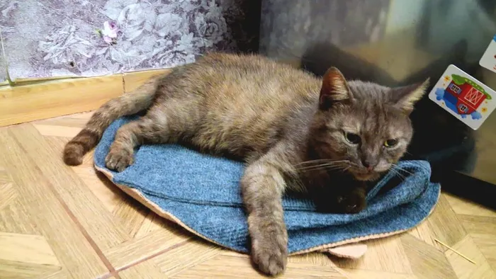 IMG_20260301_202305_156