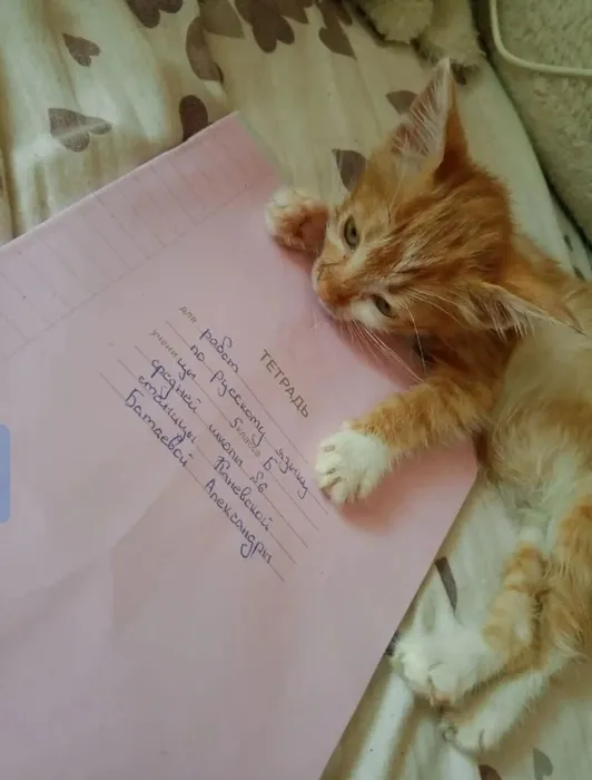 IMG_20260301_222737_116