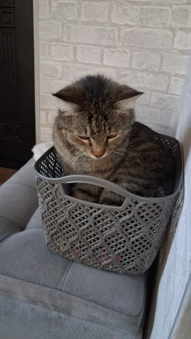 IMG_20260301_202305_143