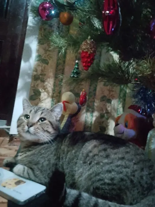 IMG_20260301_222156_245