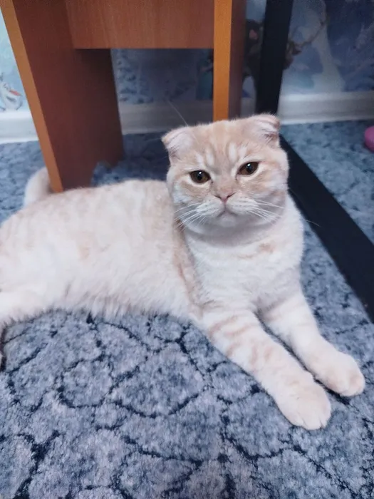 IMG_20260301_222505_012