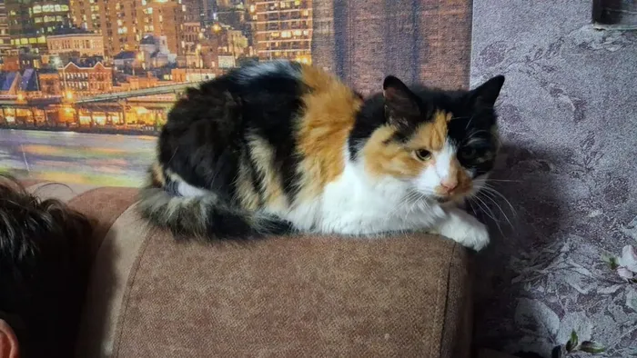 IMG_20260301_202304_957